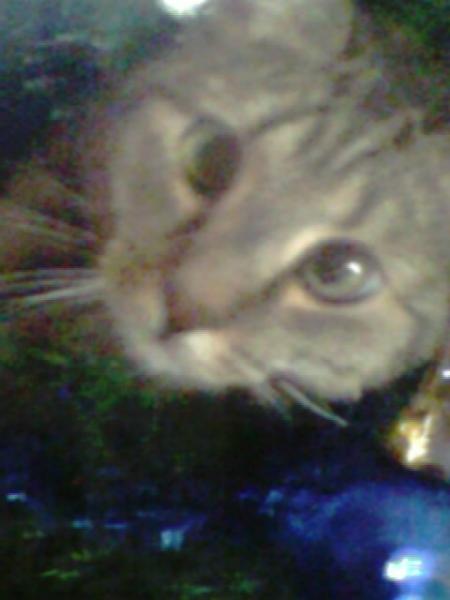 KoutchOu